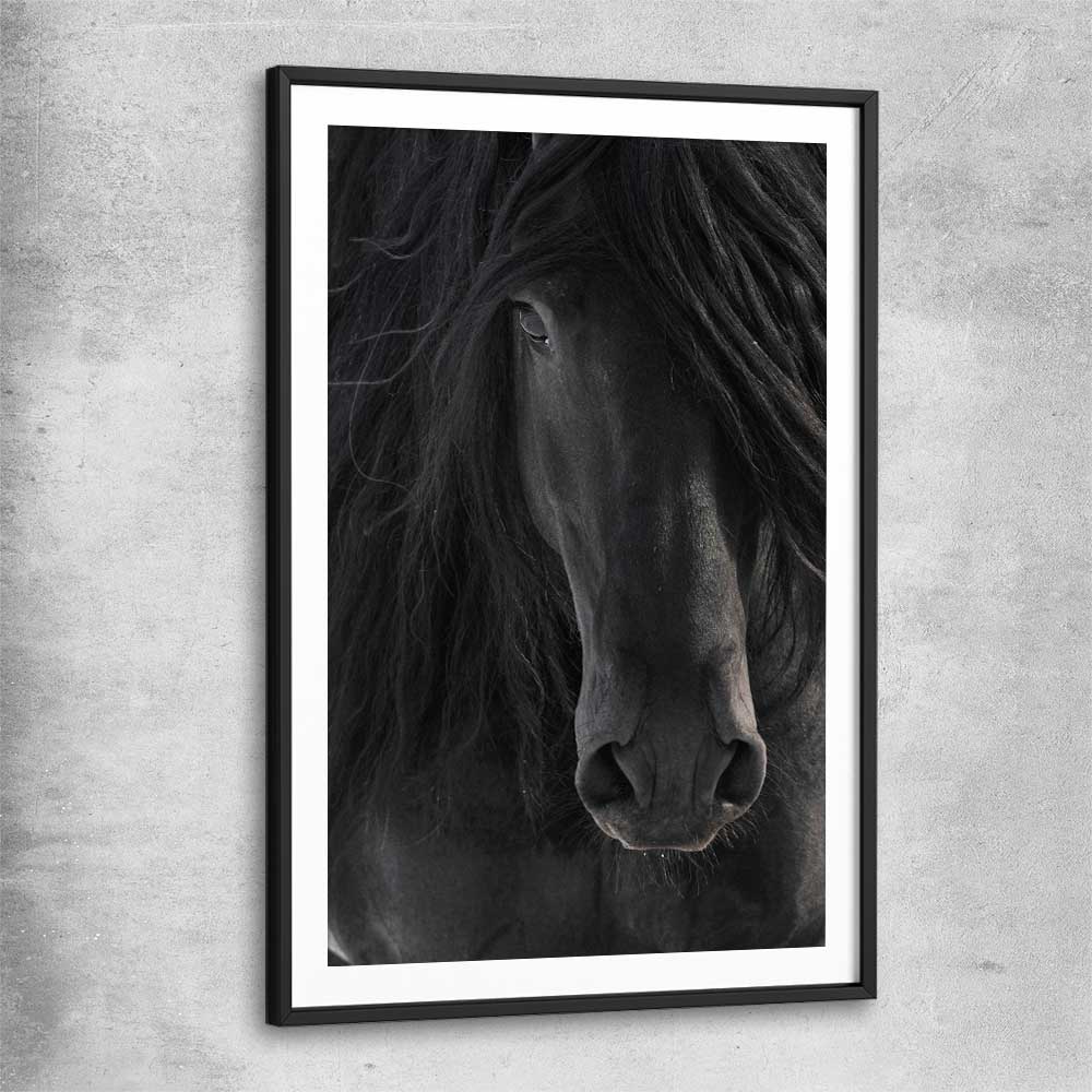 Animal wall art and canvas prints of Midnight Friesian Horse with black glass front frame