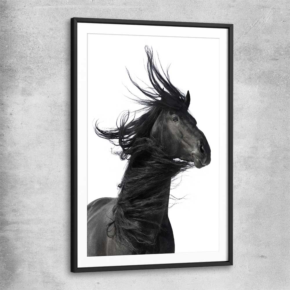 Animal wall art and canvas prints of Midnight Horse with black glass front frame