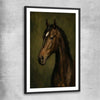 Animal wall art and canvas prints of Midnight Stallion with black glass front frame
