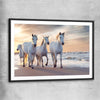Animal wall art and canvas prints of Ocean Breeze Horses with black glass front frame