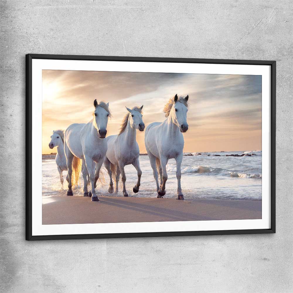 Animal wall art and canvas prints of Ocean Breeze Horses with black glass front frame