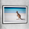 Animal wall art and canvas prints of Ocean Kangaroo Edge with black glass front frame