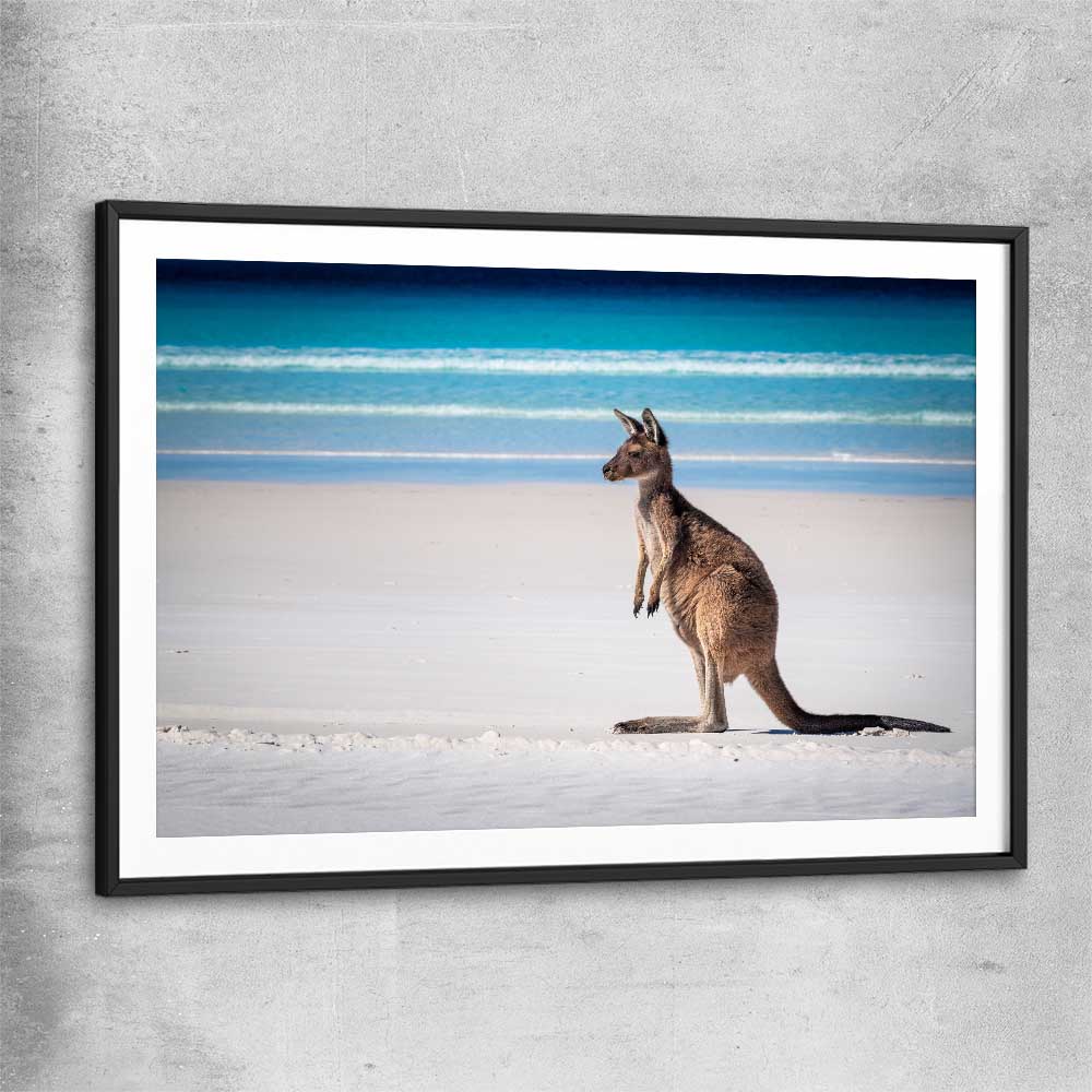 Animal wall art and canvas prints of Ocean Kangaroo Edge with black glass front frame