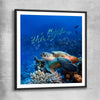 Animal wall art and canvas prints of Ocean Turtle Reef with black glass front frame
