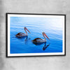 Animal wall art and canvas prints of Pelican Blue Waters with black glass front frame