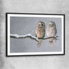 Animal wall art and canvas prints of Perched Owls with black glass front frame