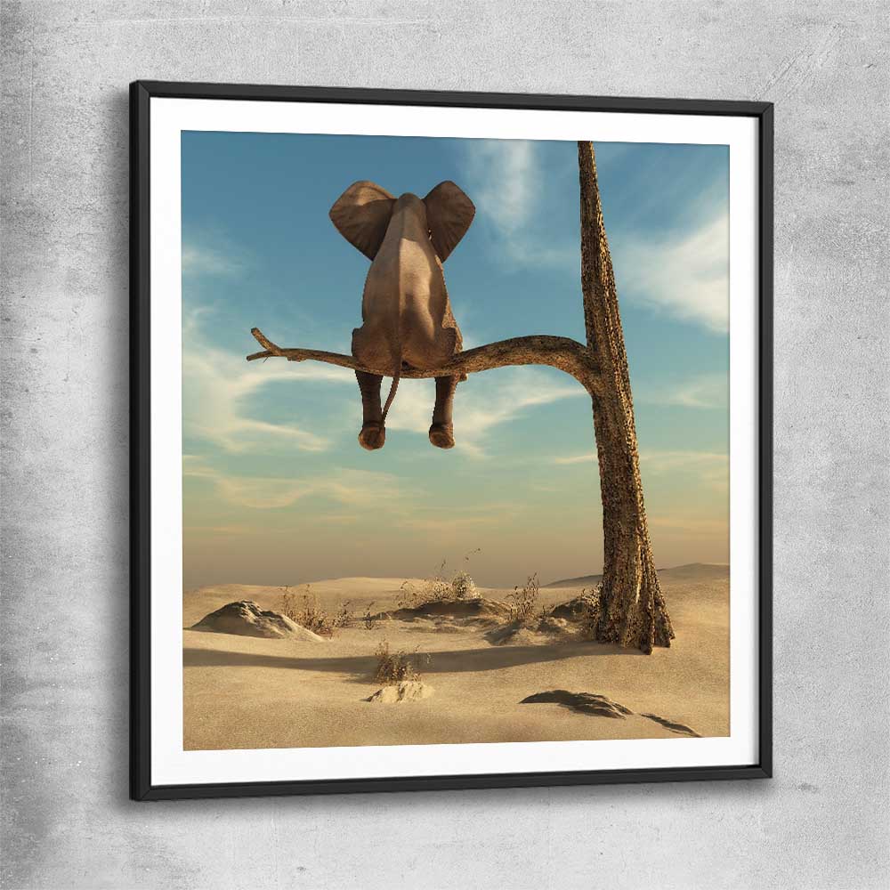Animal wall art and canvas prints of Pondering Elephant with black glass front frame