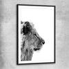 Animal wall art and canvas prints of Pondering Lion with black glass front frame