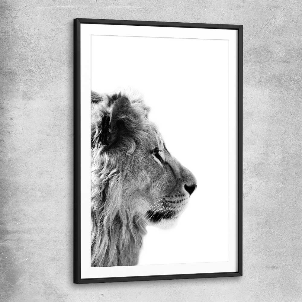 Animal wall art and canvas prints of Pondering Lion with black glass front frame