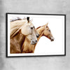 Animal wall art and canvas prints of Purebred Horse Pair with black glass front frame