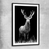 Animal wall art and canvas prints of Red Deer Gaze with black glass front frame