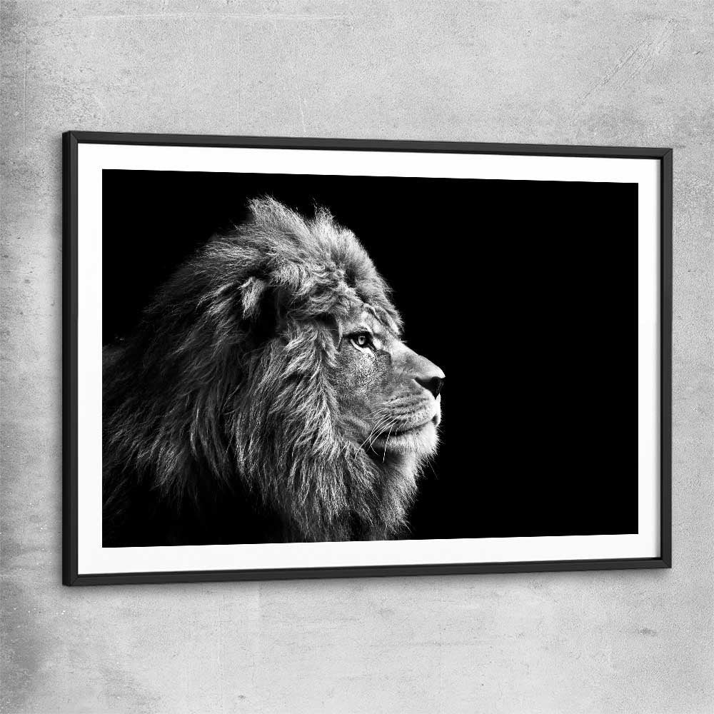 Animal wall art and canvas prints of Regal Lion Profile with black glass front frame