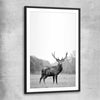 Animal wall art and canvas prints of Roaming Deer with black glass front frame
