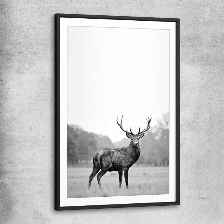 Animal wall art and canvas prints of Roaming Deer with black glass front frame