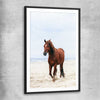 Animal wall art and canvas prints of Sea Breeze Horse with black glass front frame