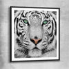 Animal wall art and canvas prints of Silent White Tiger with black glass front frame