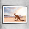 Animal wall art and canvas prints of Sunset Kangaroo Walk with black glass front frame