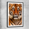 Animal wall art and canvas prints of Tiger Silent Power with black glass front frame