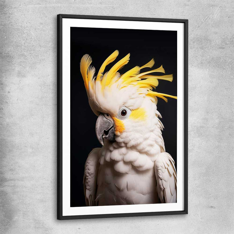 Animal wall art and canvas prints of Yellow Cockatoo Two with black glass front frame