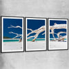 Beach and coastal wall art print of Whitsundays Driftwood Set with black glass front frame