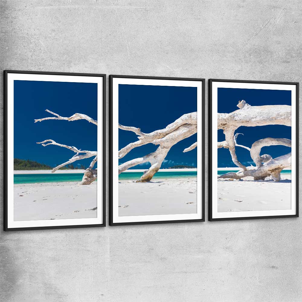 Beach and coastal wall art print of Whitsundays Driftwood Set with black glass front frame