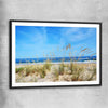 Beach and coastal wall art print of Algarve Dune Flora with black glass front frame