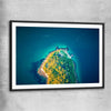 Beach and coastal wall art print of Bradleys Head Aerial with black glass front frame