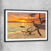Beach and coastal wall art print of Driftwood at Sunset with black glass front frame