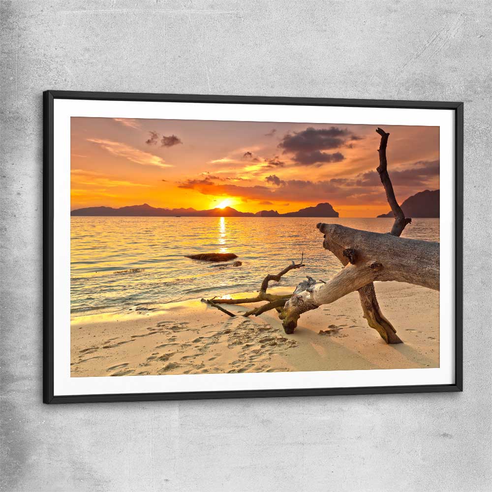 Beach and coastal wall art print of Driftwood at Sunset with black glass front frame
