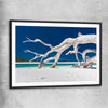 Beach and coastal wall art print of Whitsundays Driftwood with black glass front frame