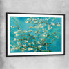 Classic wall art and canvas print of Almond Blossom Van Gogh with black glass front frame