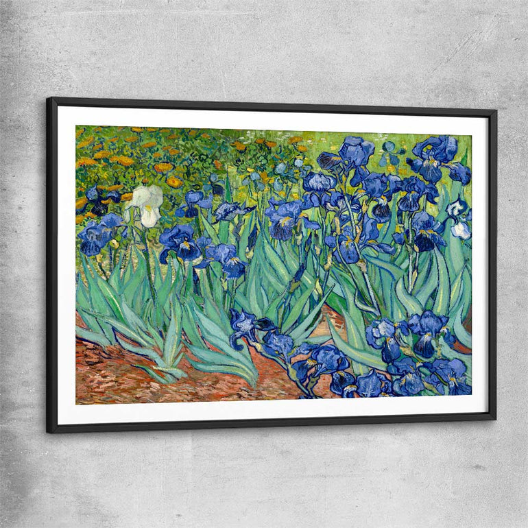 Classic wall art and canvas print of Irises Van Gogh with black glass front frame