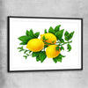 Lemon Botanical black glass front frame is a colourful and stylish canvas wall art and print suited for the kitchen arean