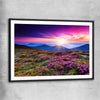 Floral print of Carpathian Mountain Bloom with black glass front frame
