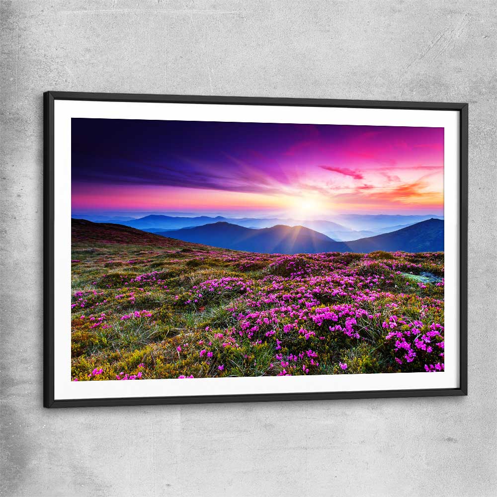 Floral print of Carpathian Mountain Bloom with black glass front frame