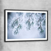 Floral print of Frosted Pine Canopy with black glass front frame