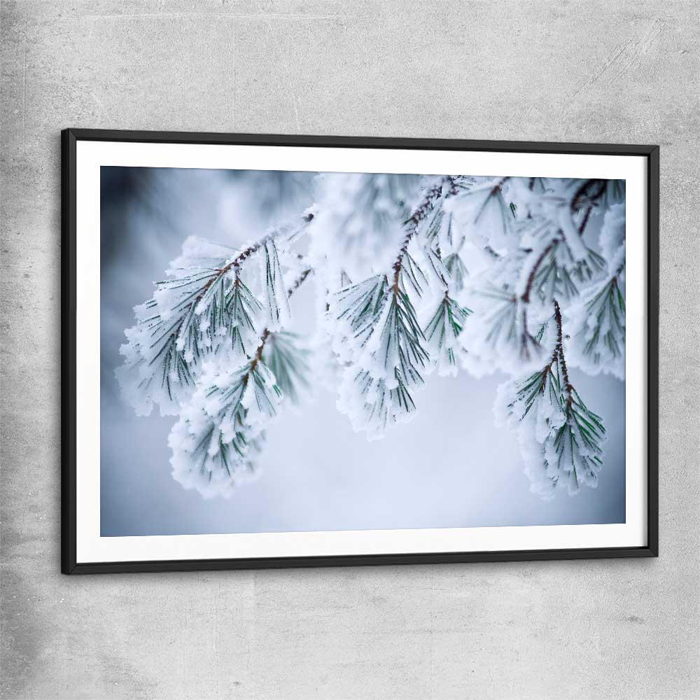 Floral print of Frosted Pine Canopy with black glass front frame