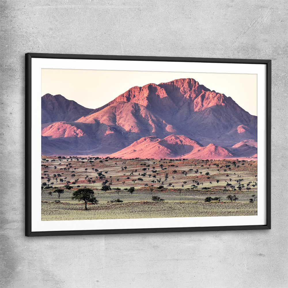 Floral print of Namib Rand Desert with black glass front frame