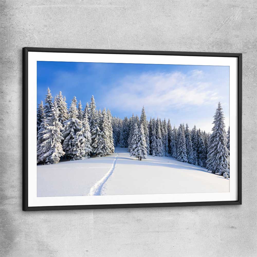 Floral print of Snowy Forest Path with black glass front frame