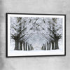 Floral print of Winter Tree Avenue with black glass front frame
