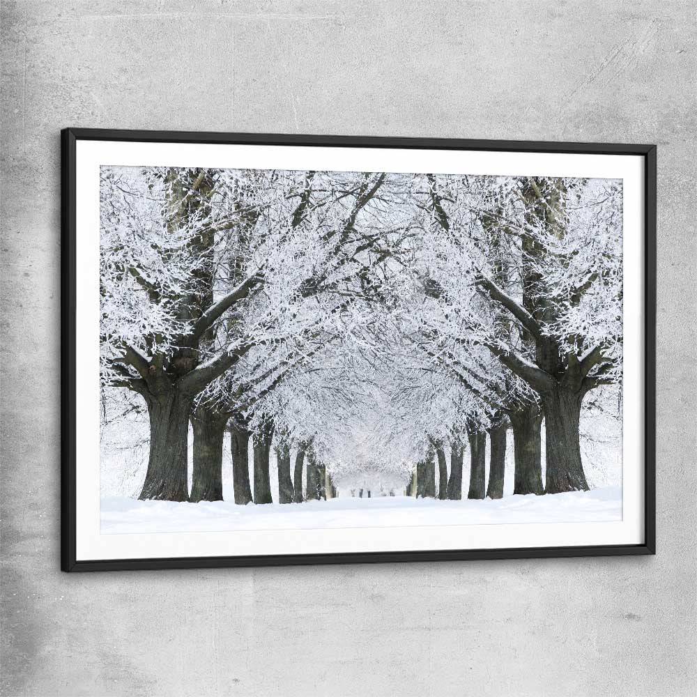 Floral print of Winter Tree Avenue with black glass front frame