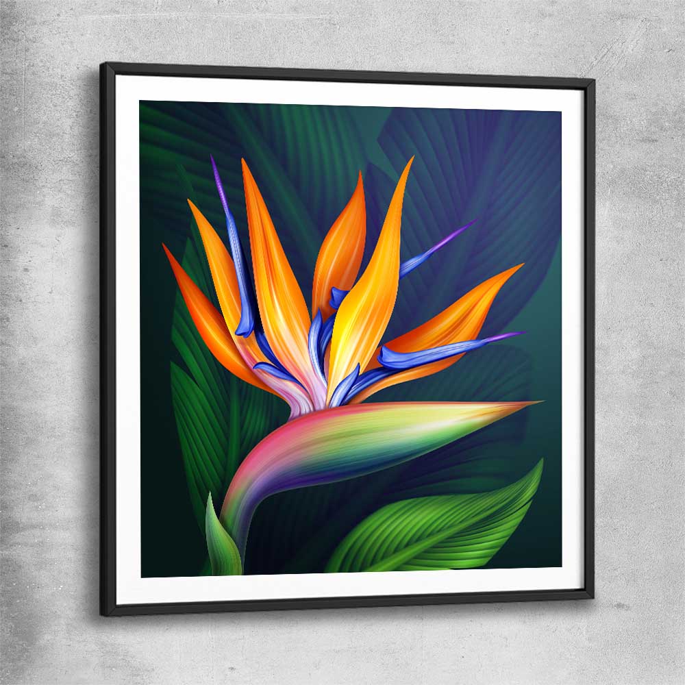 Floral print of Bird of Paradise Illustration with black glass front frame