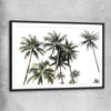 Floral print of Bright Palm Skies with black glass front frame