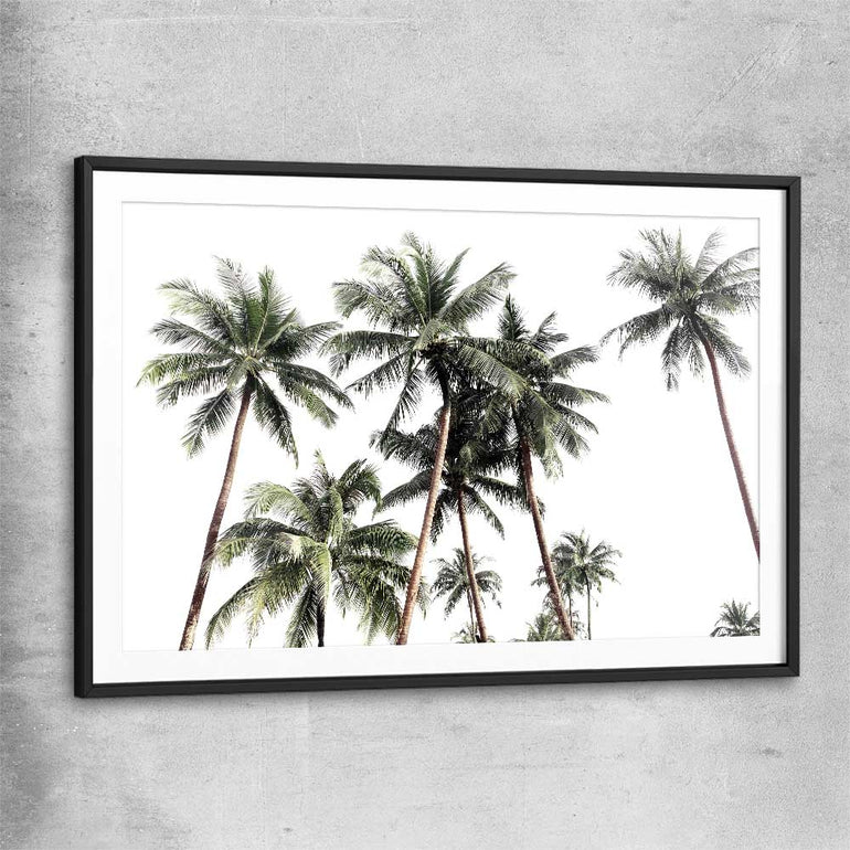 Floral print of Bright Palm Skies with black glass front frame