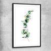 Floral print of Eucalyptus One with black glass front frame