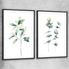 Floral print of Eucalyptus Pair One with black glass front frame