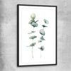 Floral print of Eucalyptus Three with black glass front frame