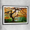 Floral print of Japanese Maple Tree with black glass front frame