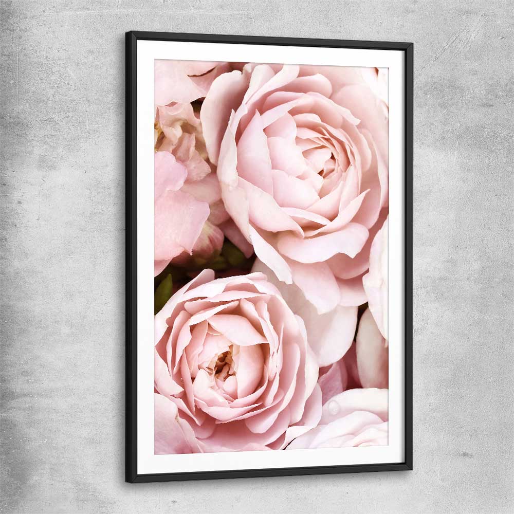 Floral print of Peony Pastel with black glass front frame