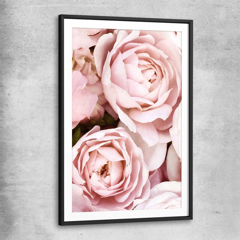 Floral print of Peony Pastel with black glass front frame